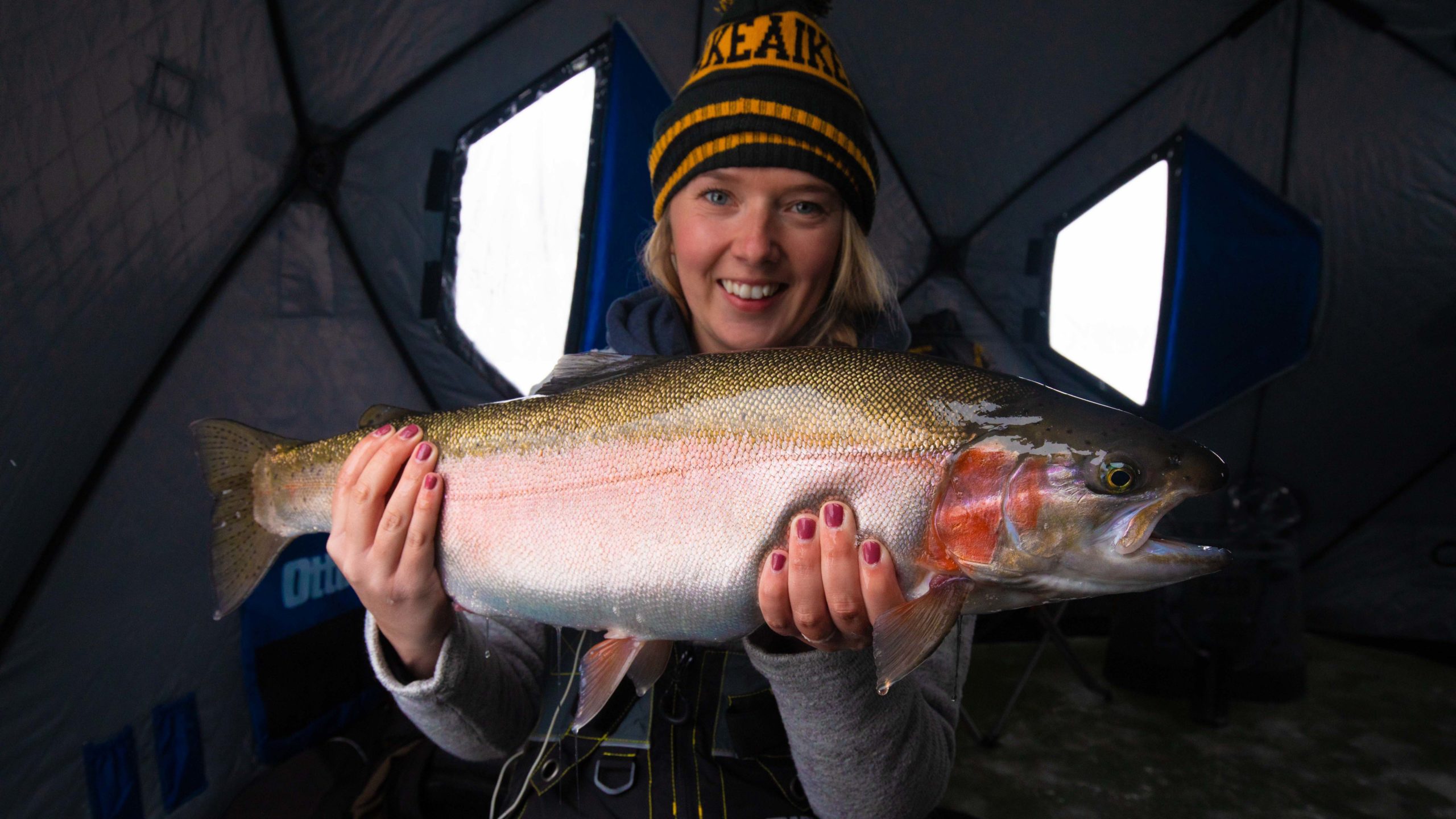 Manitoba rainbow trout