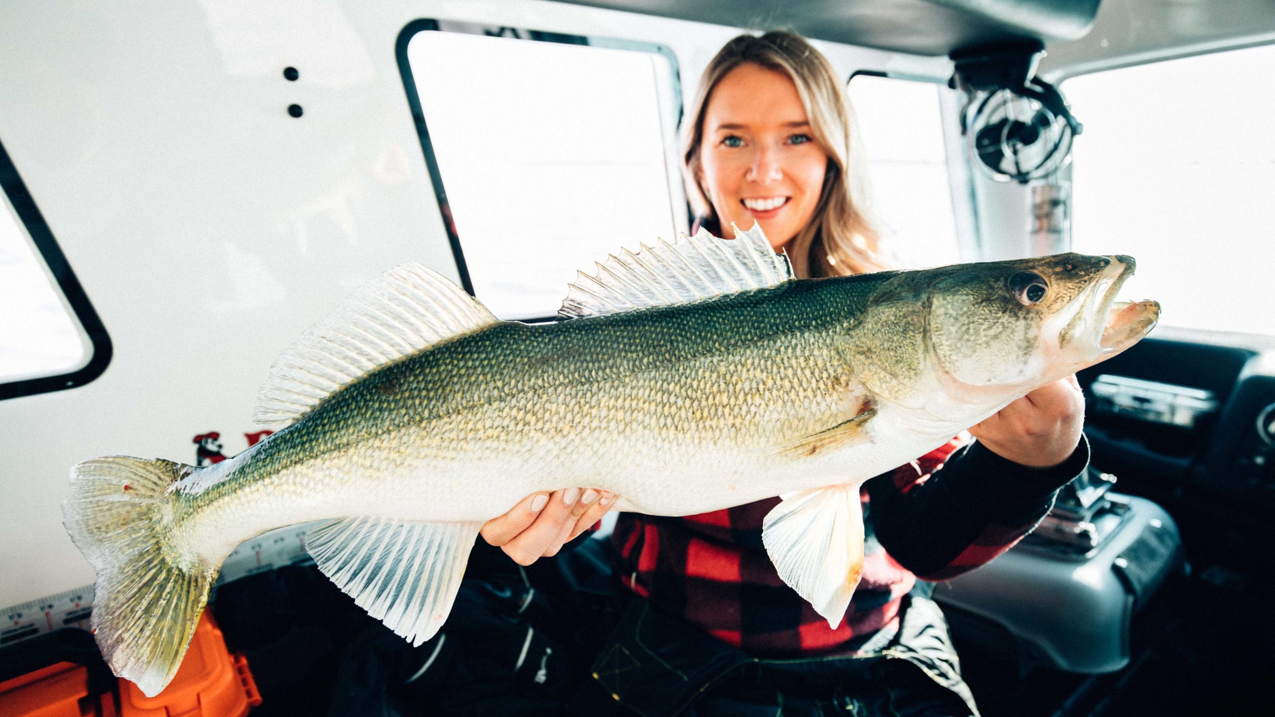 Lake Winnipeg walleye