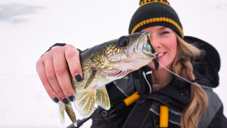 winter walleye