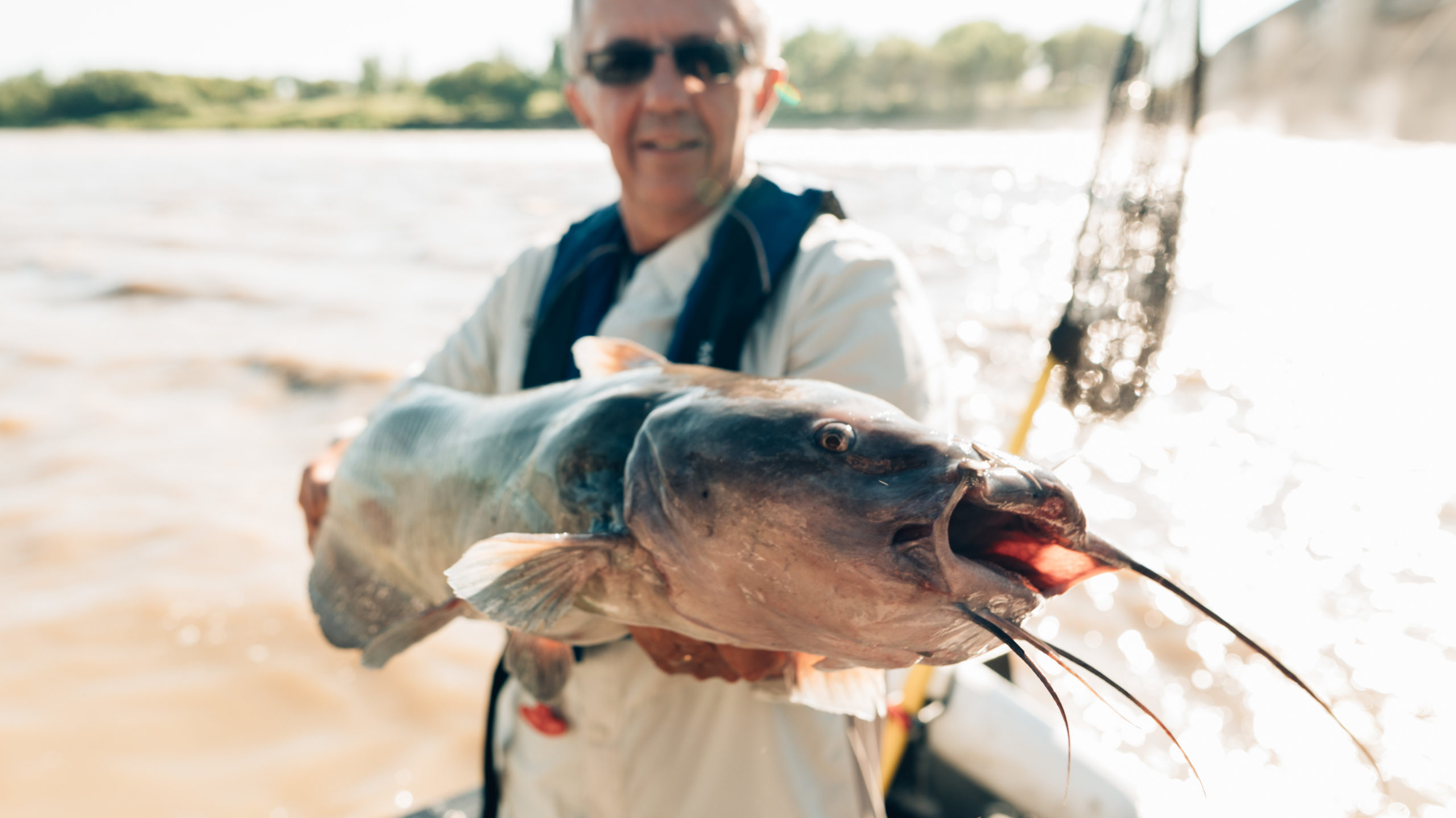 big catfish