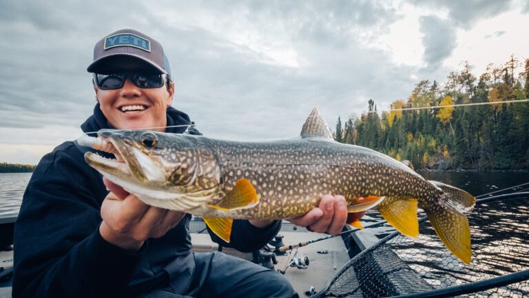fall lake trout