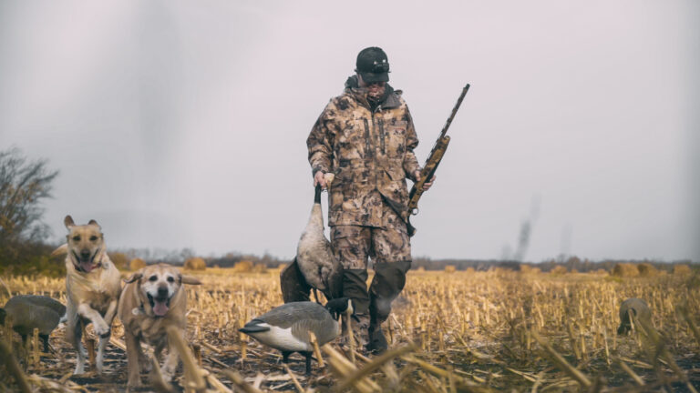 waterfowl hunting